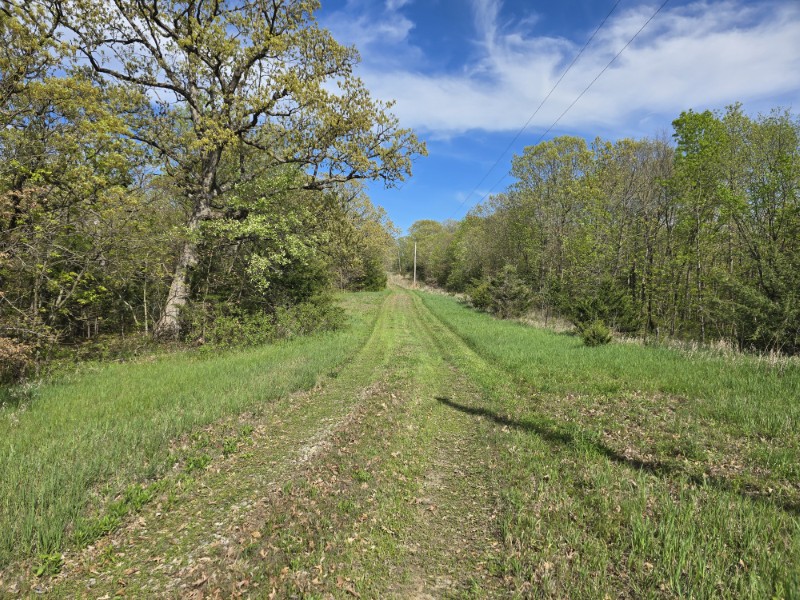 Listing photo 58
